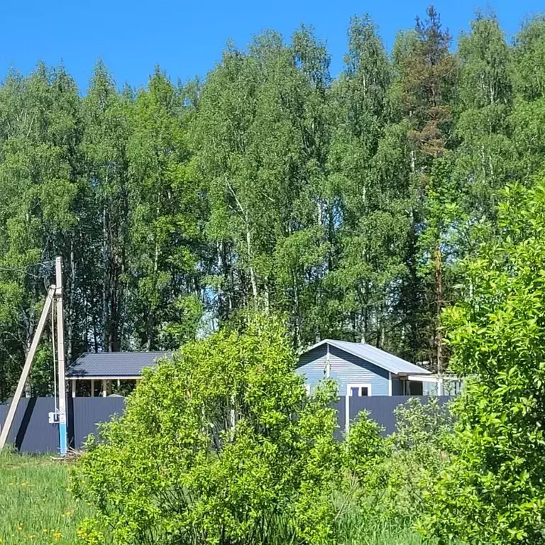 Участок в Московская область, Дмитров пер. 2-й Ревякинский (8.1 сот.) - Фото 2