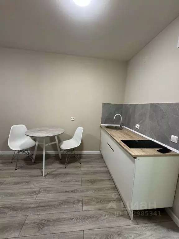 Студия Пермский край, Пермь Целинная ул., 59к1 (22.0 м) - Фото 1