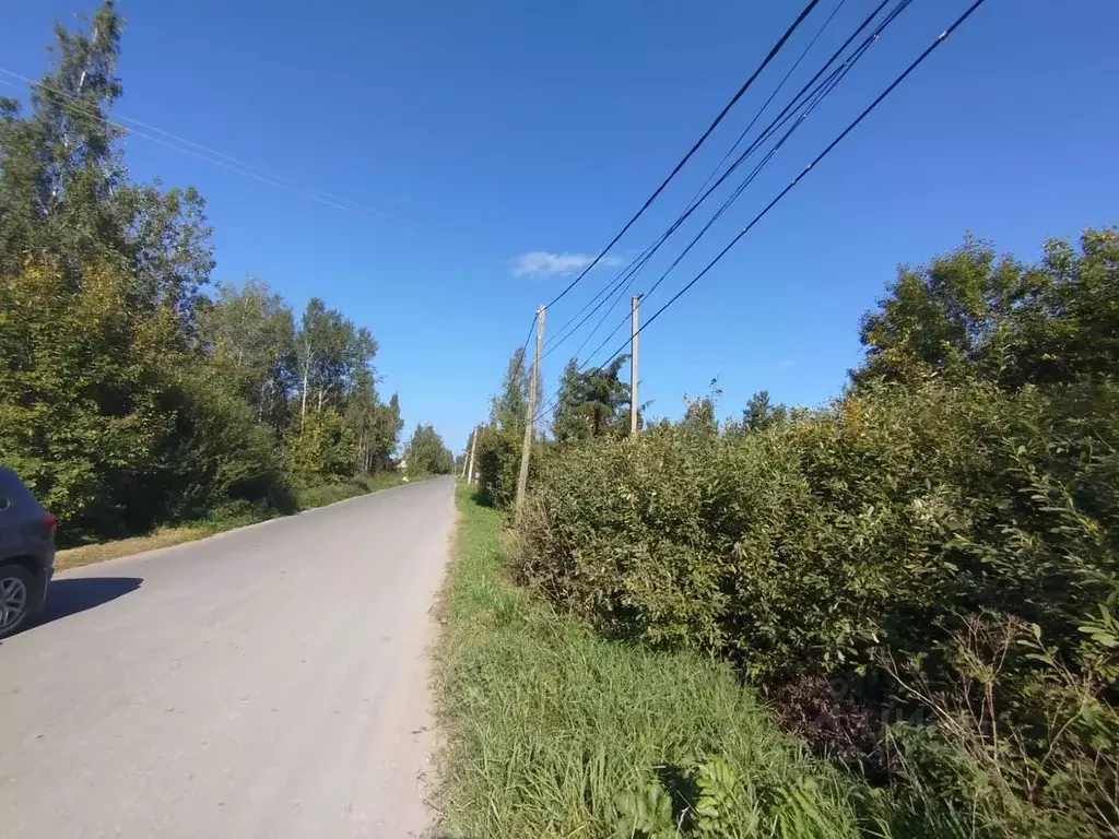 Участок в Новгородская область, Новгородский район, Трубичинское ... - Фото 0