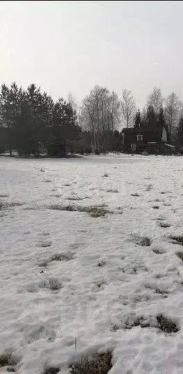 Участок в Вологодская область, д. Старое (Старосельский сельсовет)  ... - Фото 1