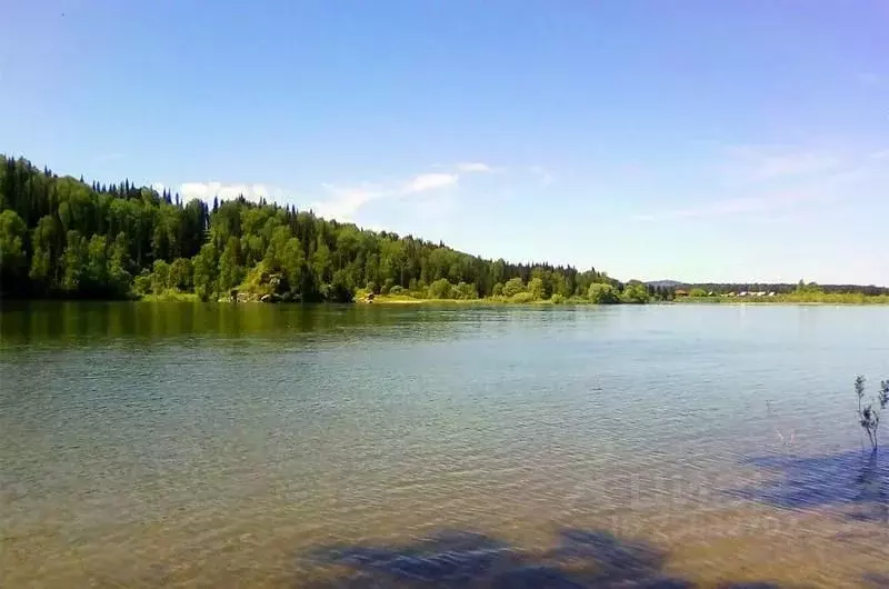 Участок в Алтай, Турочакский район, с. Озеро-Куреево Центральная ул. ... - Фото 0