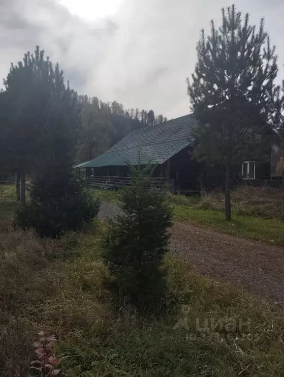 Участок в Алтай, Чойский район, с. Туньжа  (9.23 га.) - Фото 1