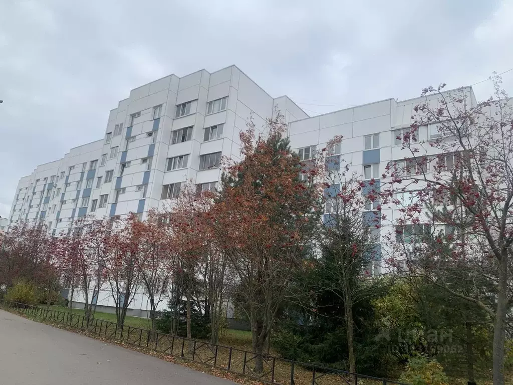 Комната Санкт-Петербург Шуваловский просп., 55К1 (15.0 м) - Фото 0