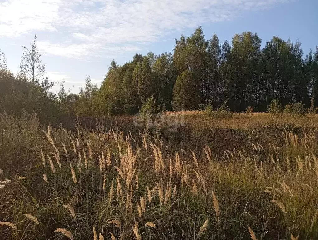 Участок в сельское поселение Ястребовка, деревня Литвиново (10 м) - Фото 0