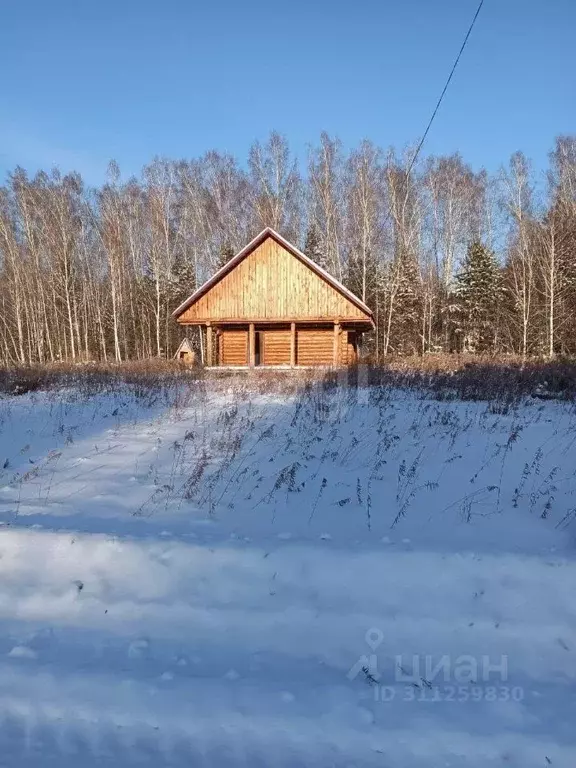 Участок в Новосибирская область, Новосибирский район, Кубовинский ... - Фото 1