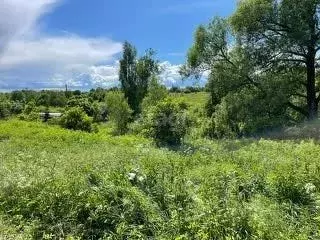 Участок в Ярославская область, Тутаевский муниципальный округ, ... - Фото 0