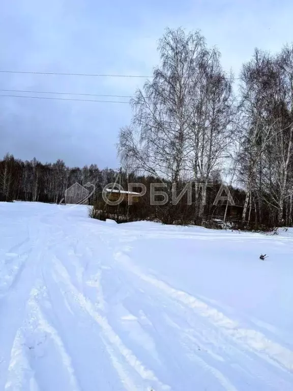 Участок в Тюменская область, Нижнетавдинский муниципальный округ, ... - Фото 1