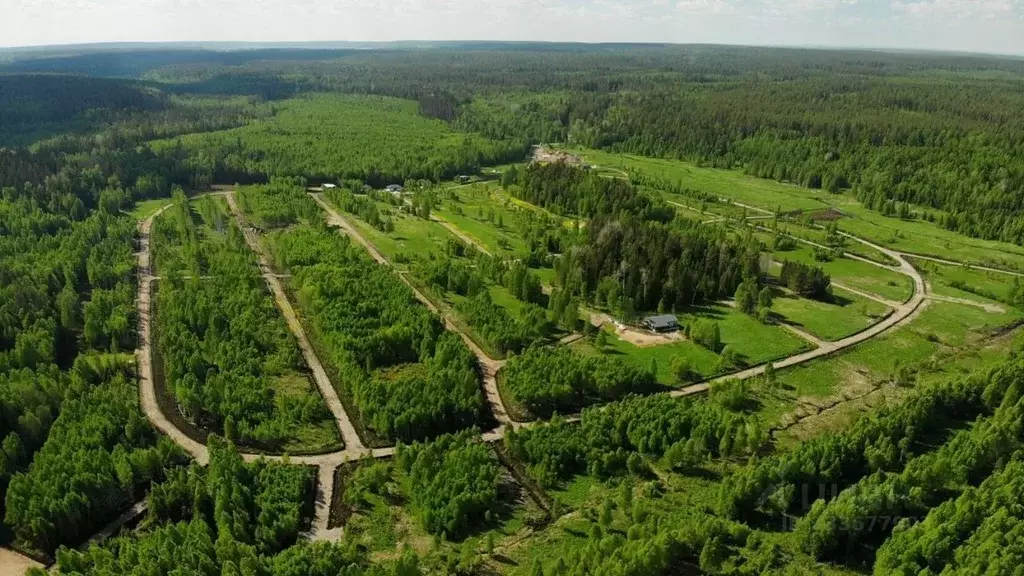 Участок в Ленинградская область, Приозерский район, Раздольевское ... - Фото 1