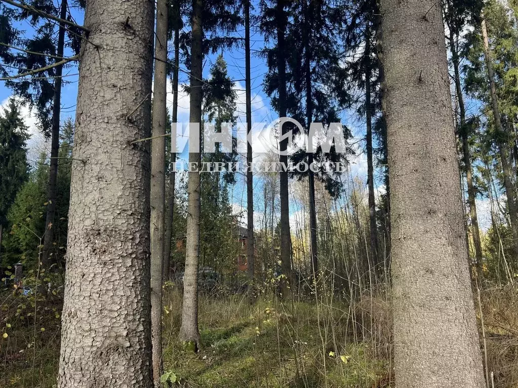 Участок в Московская область, Пушкинский городской округ, д. Могильцы, ... - Фото 1