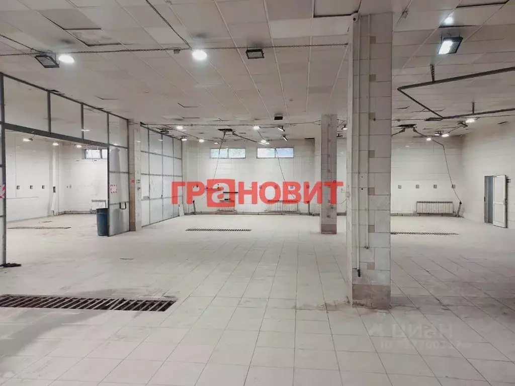 Помещение свободного назначения в Новосибирская область, Новосибирск ... - Фото 0