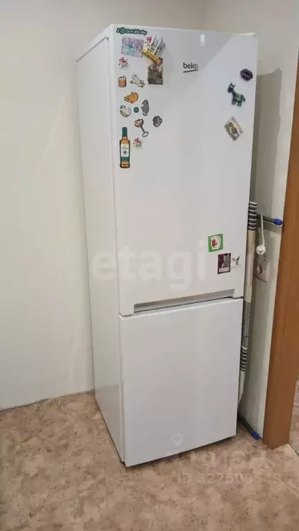 1-к кв. Томская область, Томск ул. Мичурина, 51/2 (35.0 м) - Фото 1
