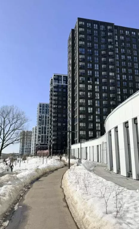 Помещение свободного назначения в Москва просп. Прокшинский, 7 (351 м) - Фото 1