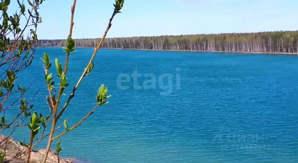 Участок в Ленинградская область, Всеволожский район, Колтушское ... - Фото 0
