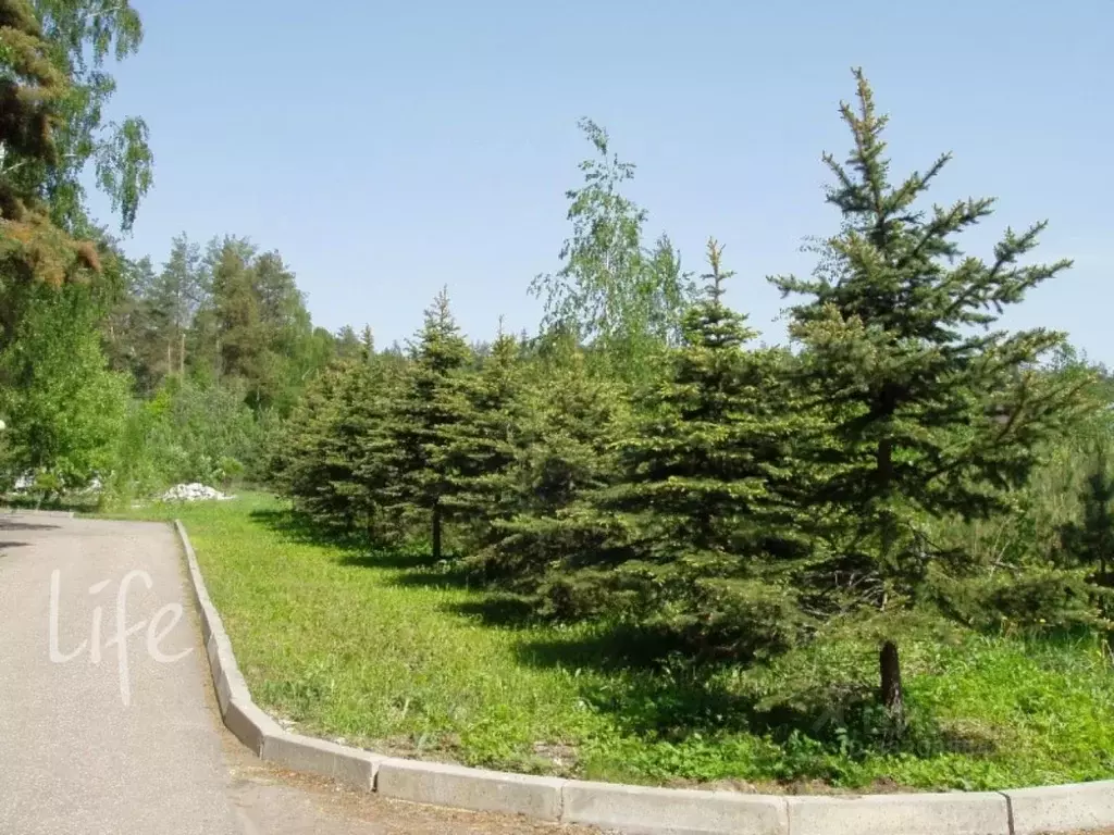 Участок в Московская область, Одинцовский городской округ, д. Маслово, ... - Фото 2