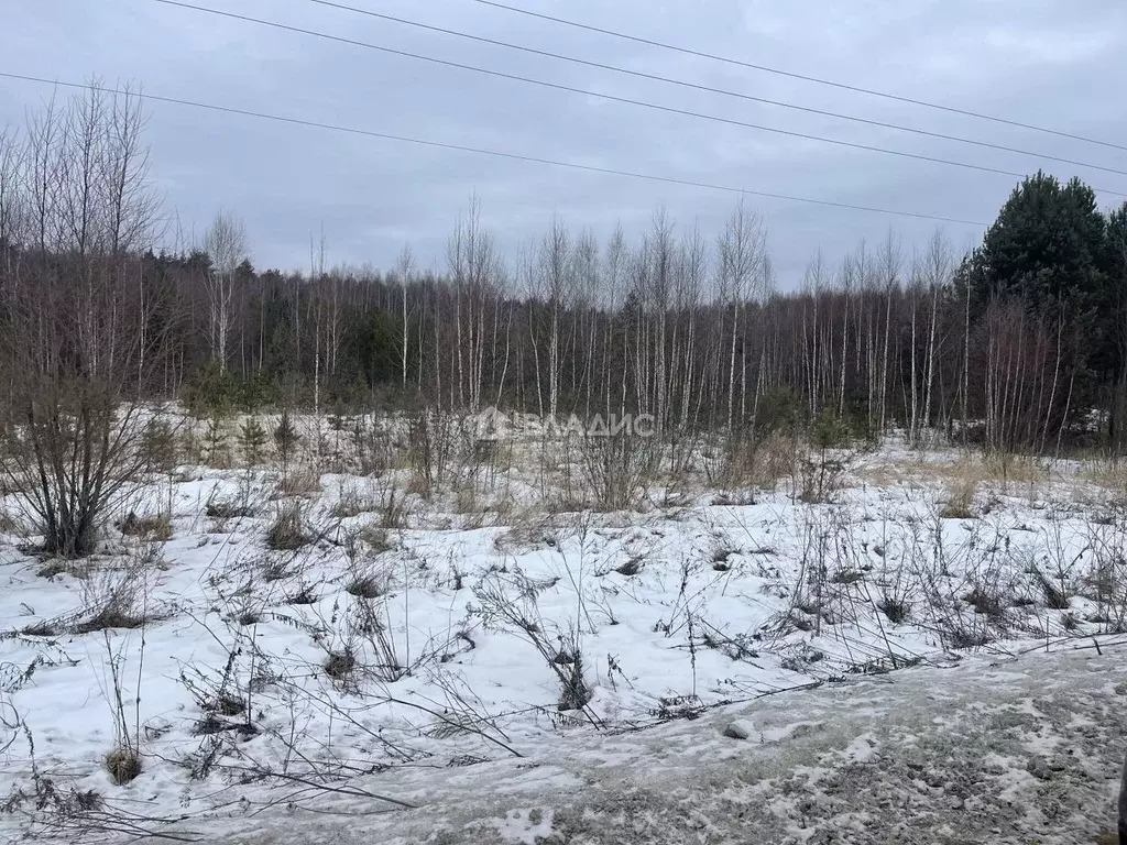 Участок в Владимирская область, Судогодский район, Лавровское ... - Фото 1