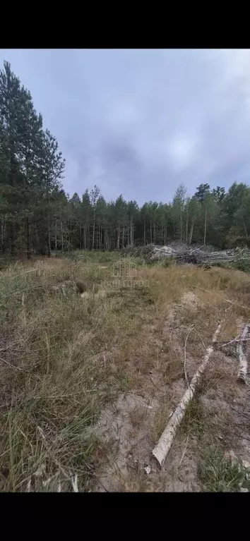 Участок в Тамбовская область, Тамбовский муниципальный округ, Рада ... - Фото 2