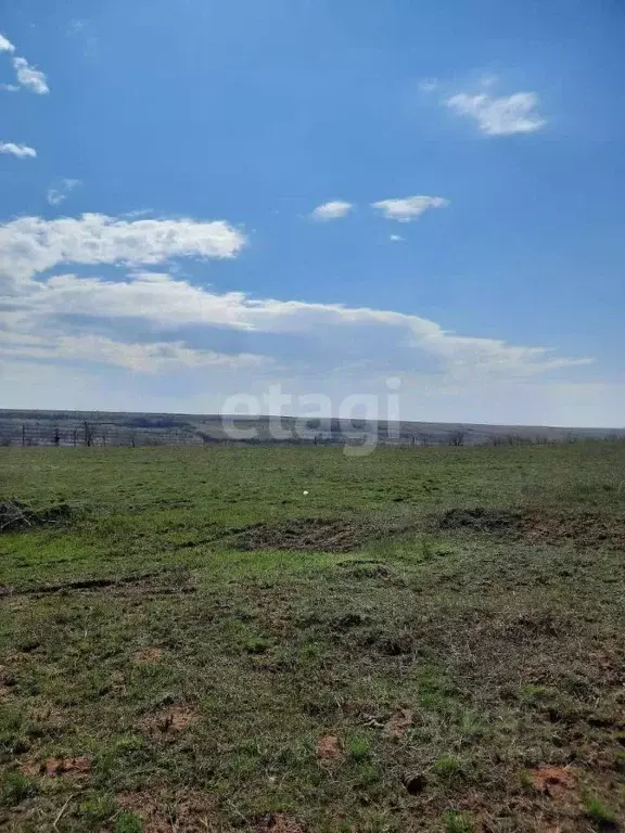 Участок в Волгоградская область, Городищенский район, Царицынское ... - Фото 1