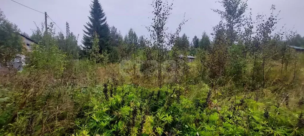 Участок в Коми, Корткеросский район, Додзь муниципальное образование, ... - Фото 2