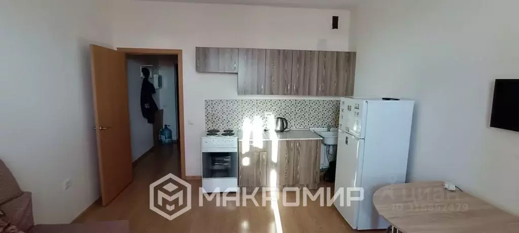 Студия Ленинградская область, Всеволожский район, д. Новое Девяткино ... - Фото 1