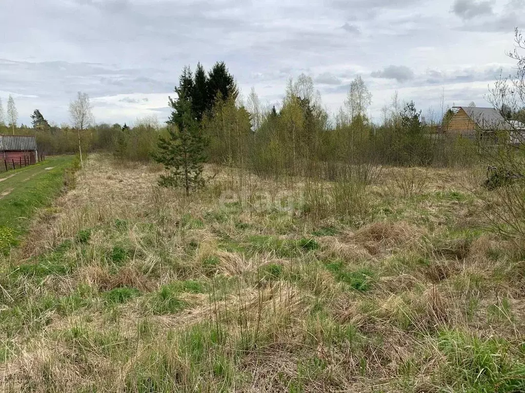 Участок в Коми, Сыктывдинский район, с. Выльгорт, Помидор СДТ проезд ... - Фото 1