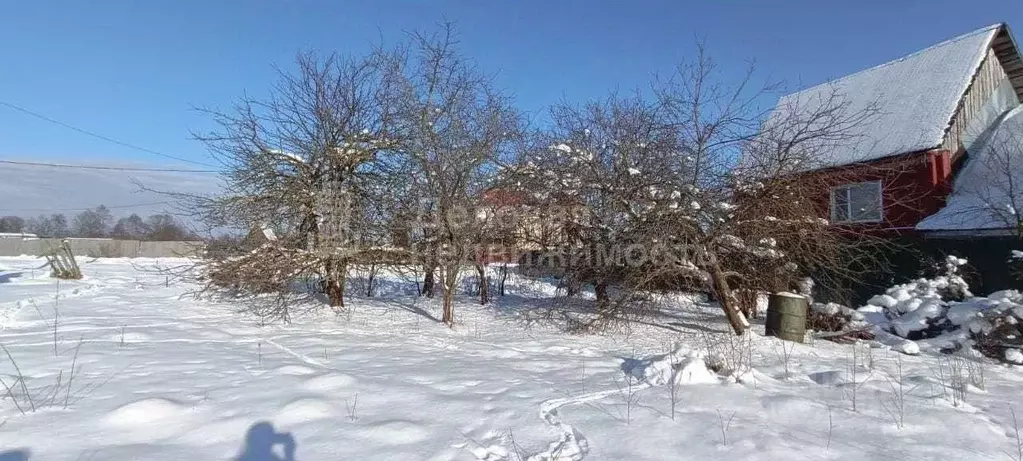 Участок в Новгородская область, Новгородский район, Савинское с/пос, ... - Фото 2