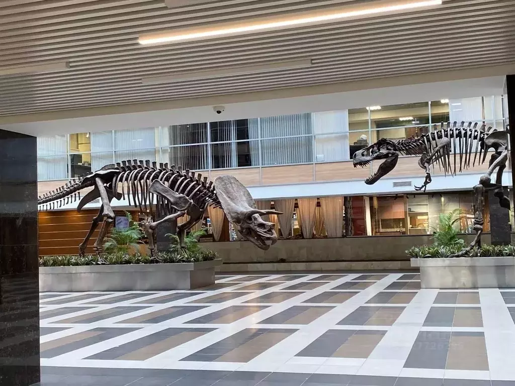 Офис в Москва ул. Горбунова, 2С3 (61 м) - Фото 1