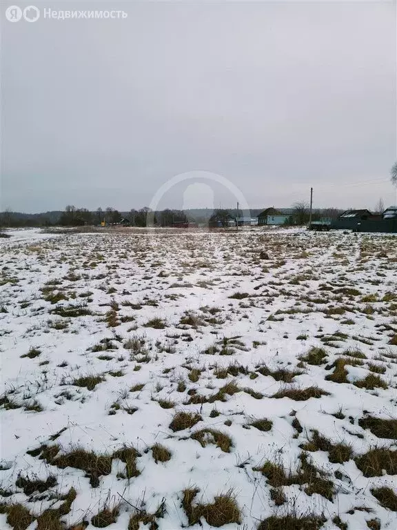 Участок в Рязанская область, Спасский муниципальный округ, село ... - Фото 1