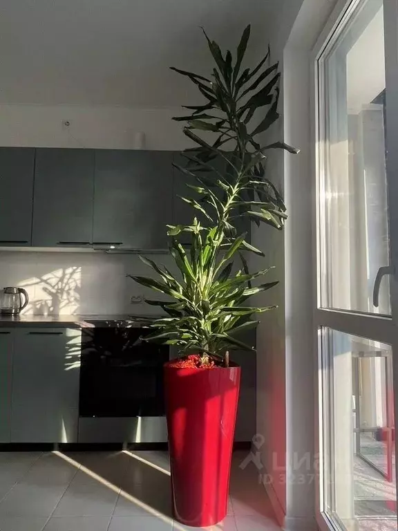 1-к кв. Москва Зеленодольская ул., 28А (42.0 м) - Фото 2