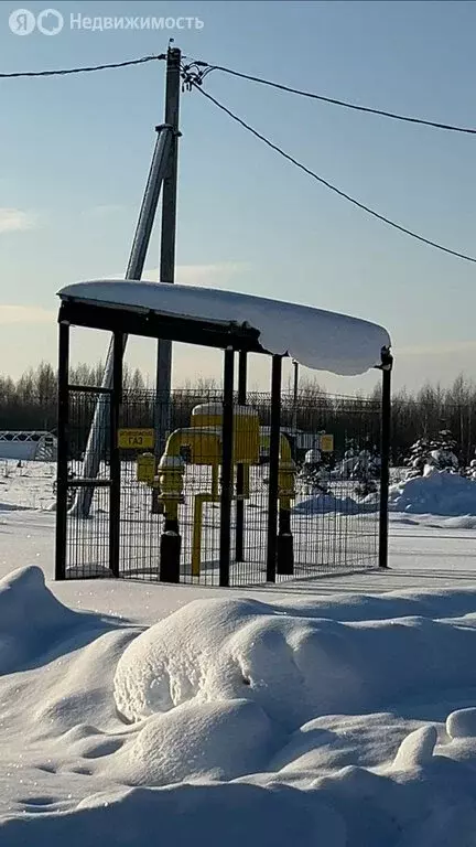 Участок в Загарское сельское поселение, деревня Моржаны (4948 м) - Фото 2