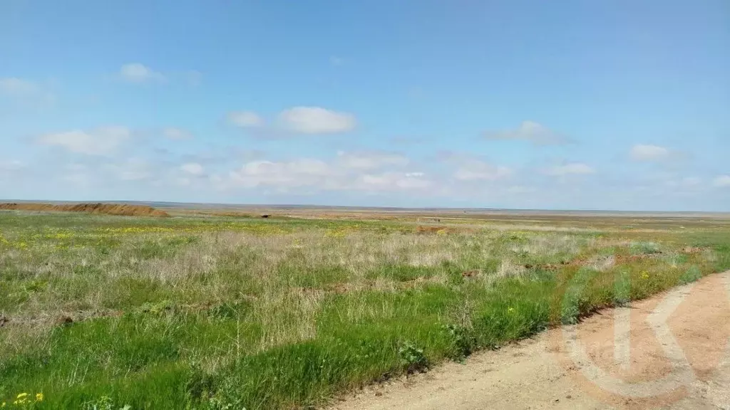 Участок в Крым, Сакский район, с. Митяево  (470.0 сот.) - Фото 1