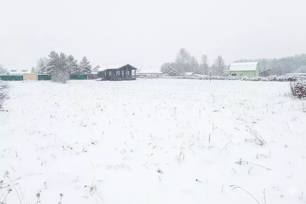 Участок в Ленинградская область, Гатчинский муниципальный округ, д. ... - Фото 2