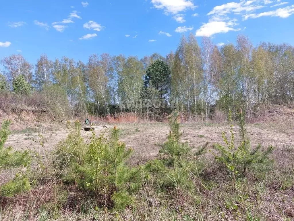 Участок в Новосибирская область, Новосибирск Ветеран СНТ, ул. Крутой ... - Фото 1