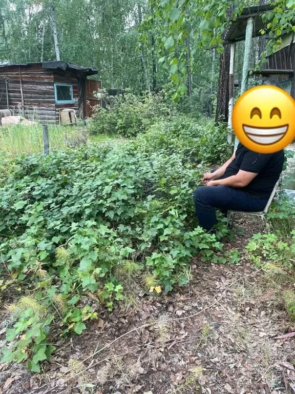 Участок в Саха (Якутия), Якутск городской округ, с. Маган  (6.0 сот.) - Фото 2