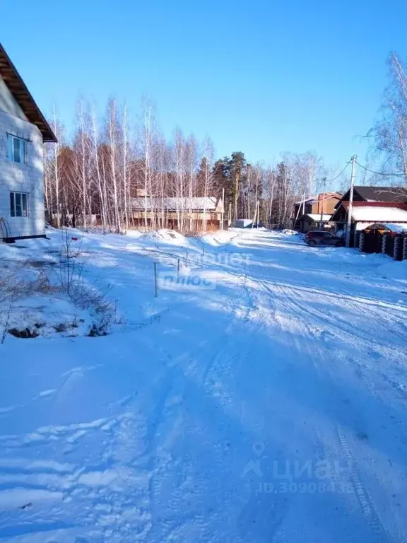 Участок в Новосибирская область, Новосибирский район, Барышевский ... - Фото 0