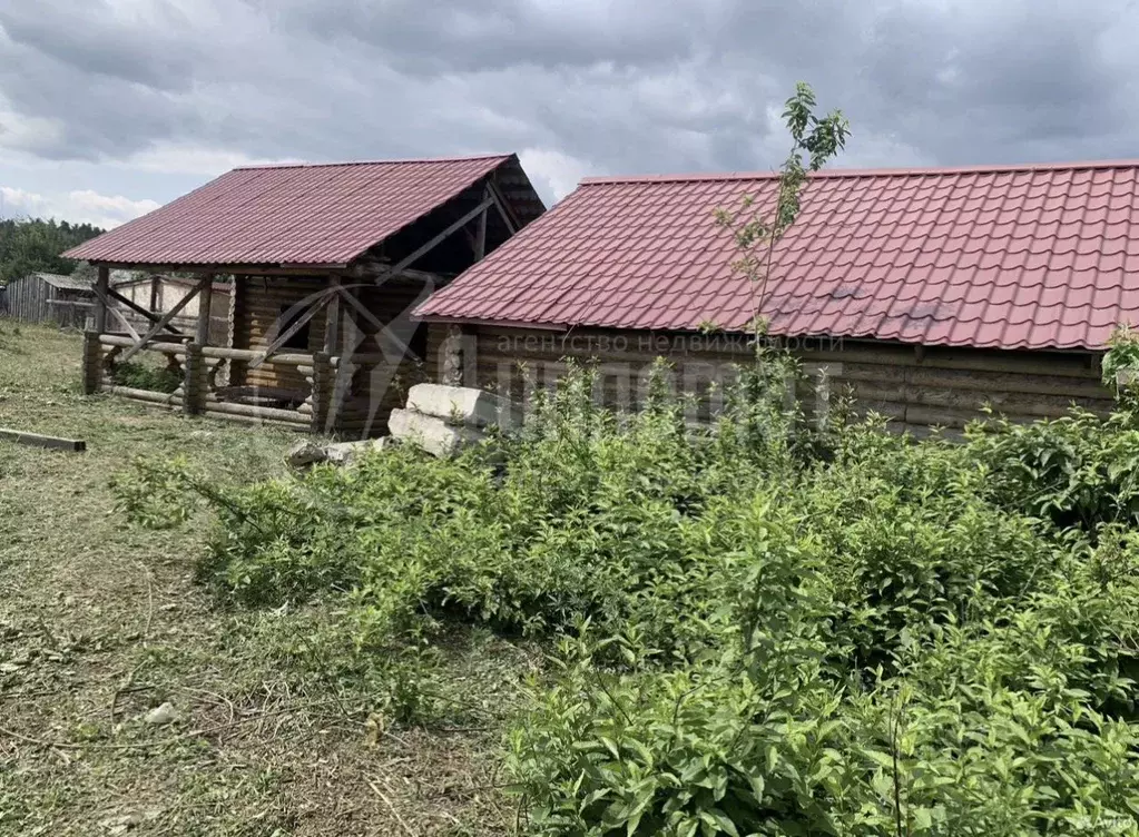 Участок в Курганская область, Кетовский муниципальный округ, с. ... - Фото 2