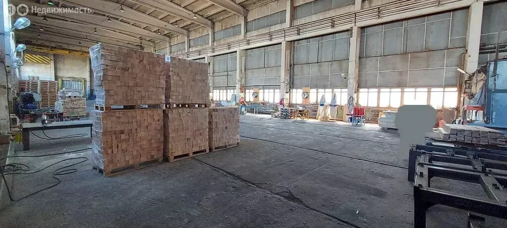 Производственное помещение (1251 м) - Фото 2