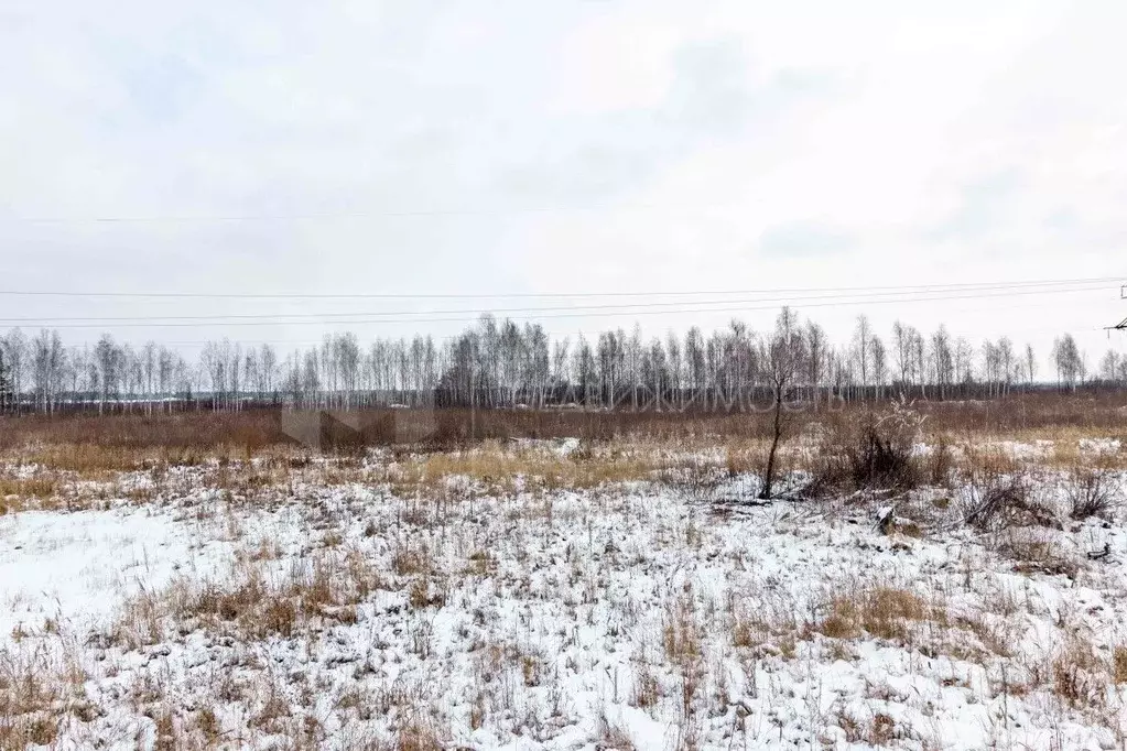 Участок в Тюменская область, Тюмень СОСН Березка-3 тер.,  (39.97 сот.) - Фото 0