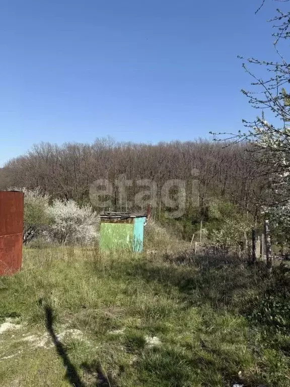 Участок в Белгородская область, Корочанский муниципальный округ, ... - Фото 1