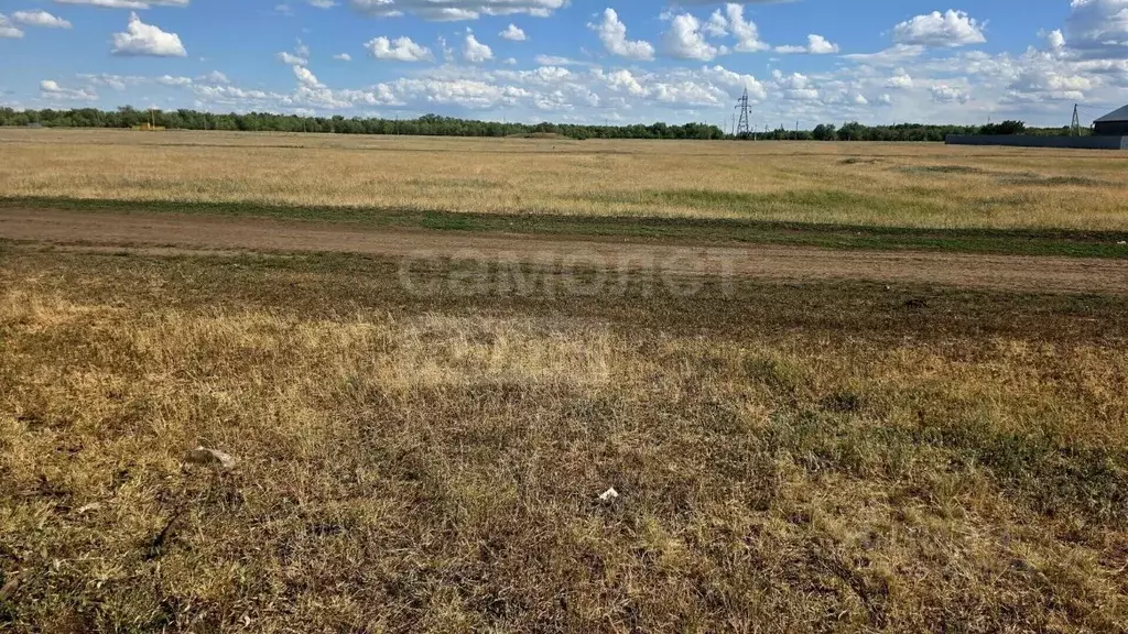 Участок в Оренбургская область, Оренбург городской округ, с. Городище  ... - Фото 2