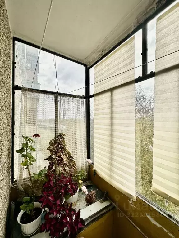 2-к кв. Челябинская область, Челябинск Псковская ул., 4 (53.0 м) - Фото 2