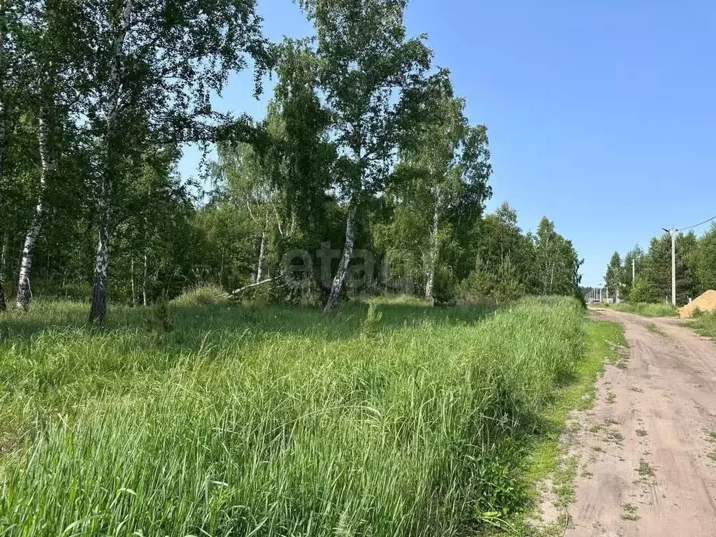 Участок в Курганская область, Кетовский муниципальный округ, с. ... - Фото 0