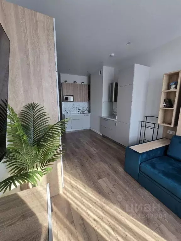 Студия Москва проезд Серебрякова, 11к2 (30.2 м) - Фото 0