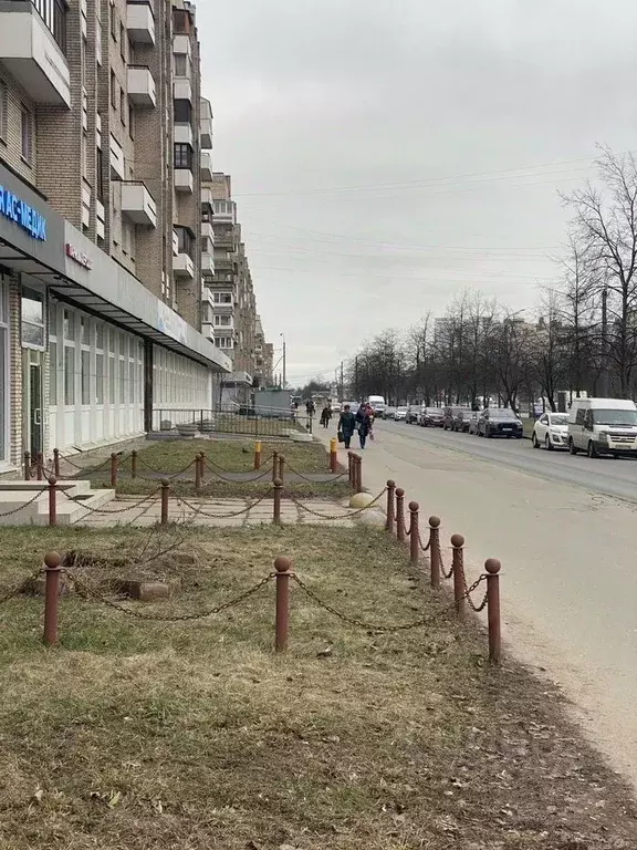 Торговая площадь в Санкт-Петербург ул. Димитрова, 12К1 (20 м) - Фото 2