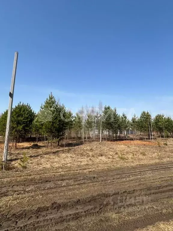 Участок в Тюменская область, Нижнетавдинский муниципальный округ, д. ... - Фото 1