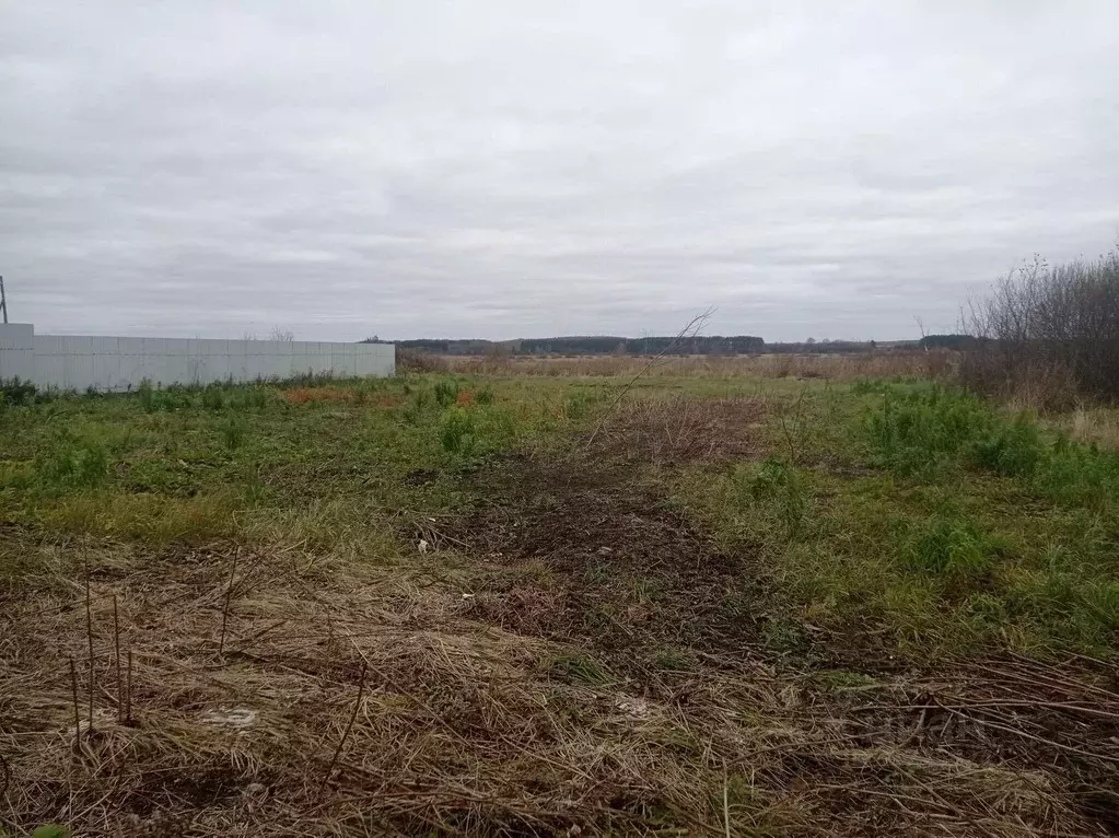 Участок в Владимирская область, Суздальский район, Боголюбовское ... - Фото 1