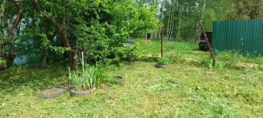 Участок в Московская область, Солнечногорск городской округ, д. ... - Фото 1