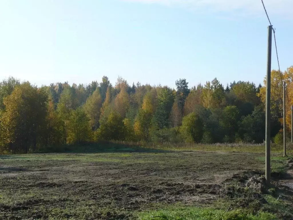 Участок, 10 сот., сельхоз (снт или днп) - Фото 1