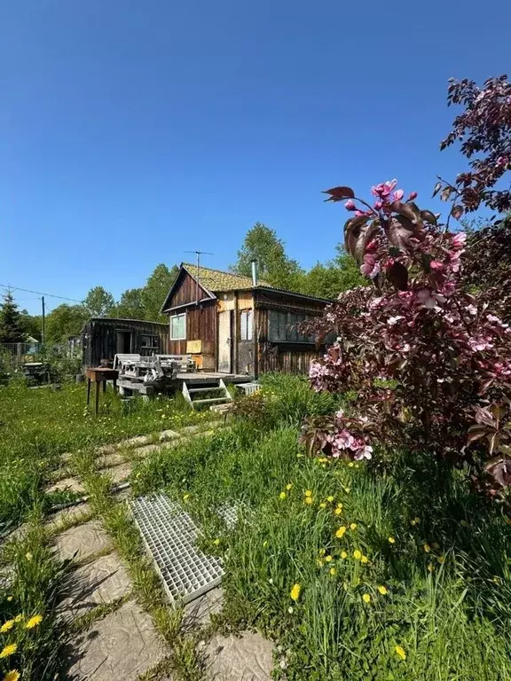 Дом в Камчатский край, Елизовский район, Проектировщик СНТ  (31 м) - Фото 1