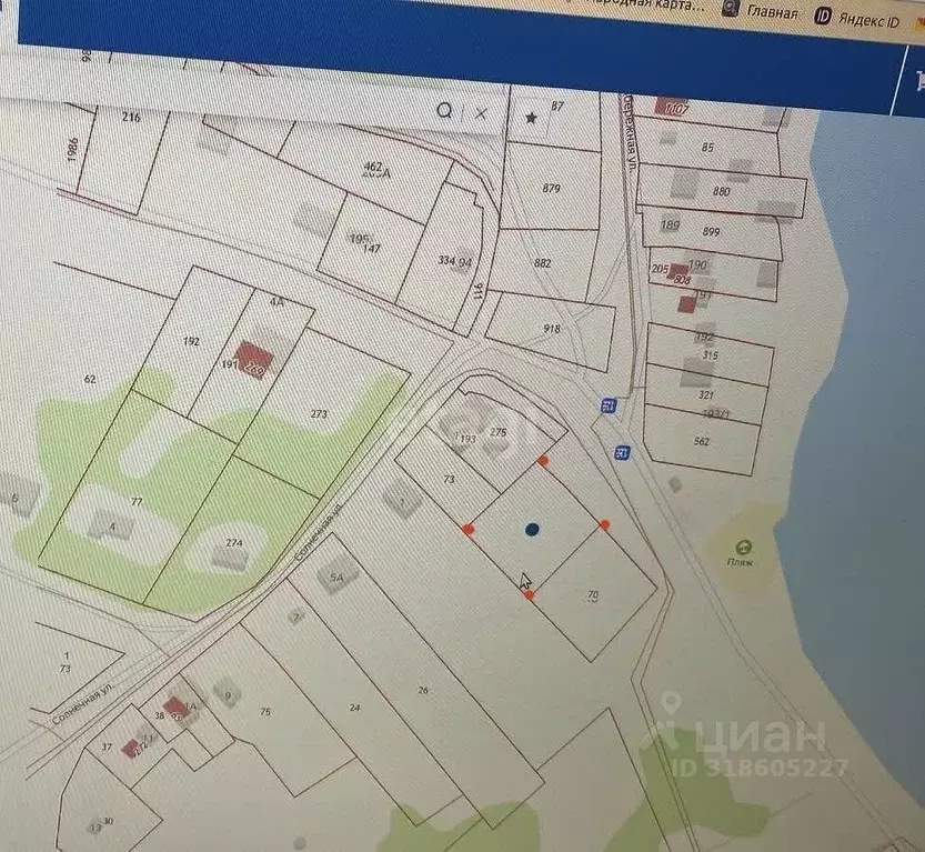 Участок в Воронежская область, Рамонский район, Новоживотинновское ... - Фото 1