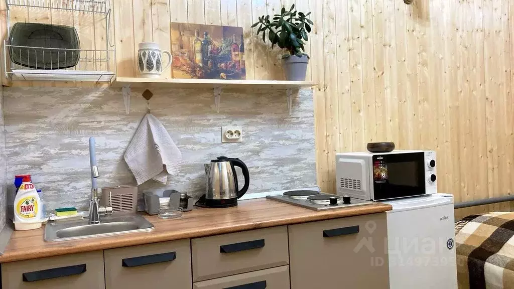 Студия Ставропольский край, Кисловодск ул. Гагарина, 12 (16.0 м) - Фото 1